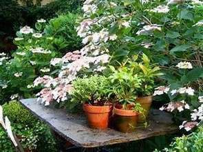 Vente Appartement 4 piècesBordeaux