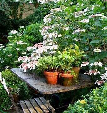 Vente appartement 4 pièces Bordeaux 33