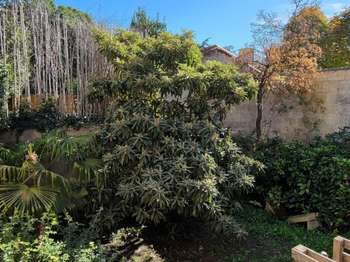 Vente Appartement 2 piècesBordeaux