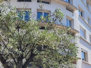 Vente appartement 2 pièces Bourges 18
