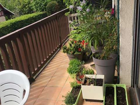 Vente appartement 3 pièces Cabourg 14