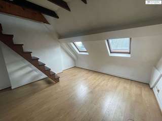 Vente Studio 1 pièce