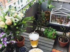 Vente Appartement 4 piècesCaen