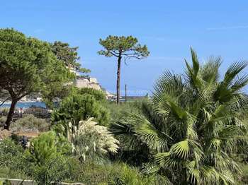 Vente Appartement 4 piècesCalvi