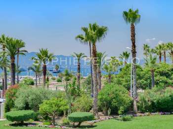 Vente appartement 3 pièces Cannes 06