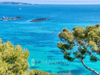Vente appartement 3 pièces Cannes 06