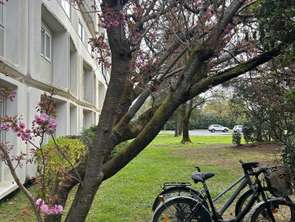 Vente Appartement T1Carquefou