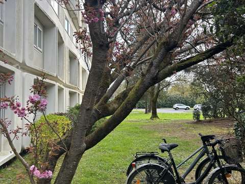 Vente appartement 1 pièce Carquefou 44