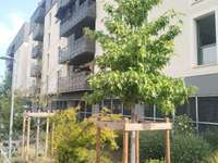 Vente appartement 2 pièces Cenon - 33