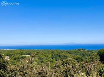 Vente appartement 4 pièces Cervione 2B