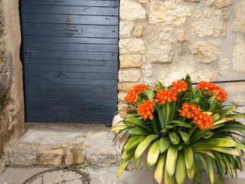 Photo Vente appartement Châteauneuf-Grasse