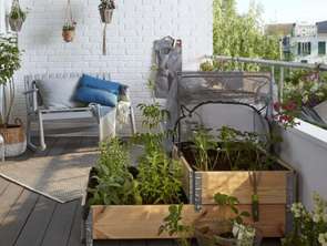 Vente Appartement 3 piècesCriel-sur-Mer