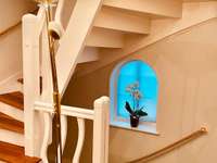 Vente appartement 11 pièces