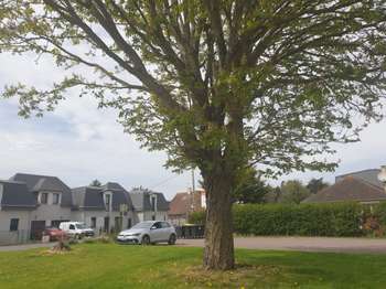 Vente appartement 2 pièces Deauville 14