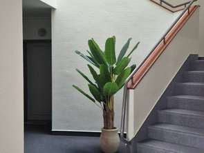 Vente Appartement 4 piècesFougères