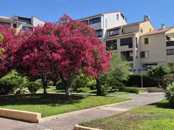 Vente Appartement 3 piècesFréjus