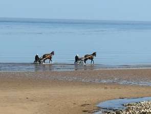 Vente Appartement 3 piècesGrandcamp-Maisy