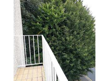 Vente Appartement 3 piècesHérouville-Saint-Clair Belles Portes - Val