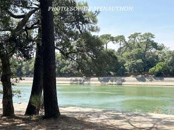 Vente appartement 3 pièces Hossegor 40