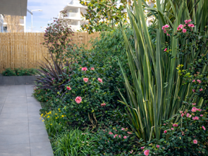 Vente Appartement 3 piècesLa Rochelle