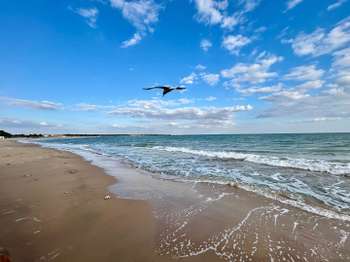 Vente appartement 2 pièces La Tranche-sur-Mer 85