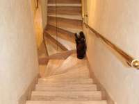 Vente appartement 6 pièces Vente appartement 6 pièces