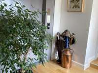 Vente appartement 8 pièces