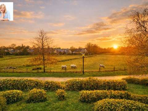 Vente appartement 4 pièces Le Rheu 35