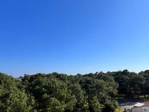 Vente appartement 2 pièces Les Sables-d'Olonne 85