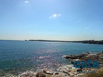 Vente appartement 1 pièce Locmaria-Plouzané 29