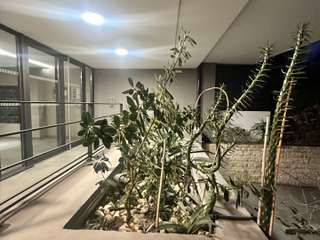 Vente Studio 1 pièce