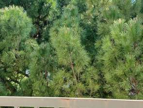 Vente Appartement 4 piècesMontpellier