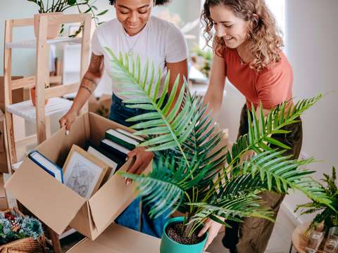 Vente appartement 3 pièces Montussan 33