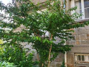 Vente Appartement 3 piècesNantes