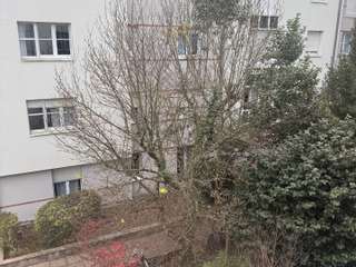 Vente Studio 1 pièce