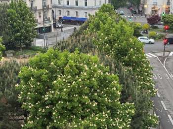 Vente appartement 4 pièces Nantes Canclaux - Mellinet 44