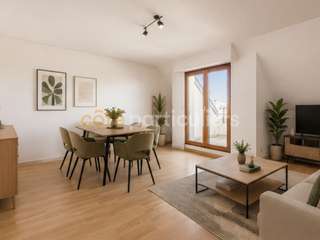 Vente Studio 1 pièce