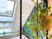 Vente appartement 7 pièces Vente appartement 7 pièces