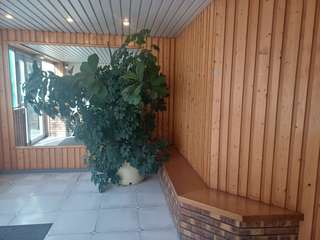 Vente Studio 1 pièce