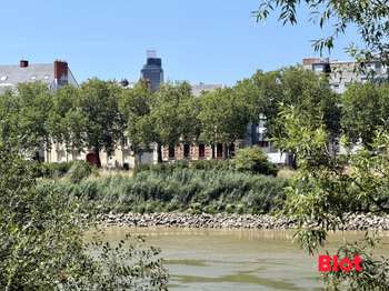 Vente Appartement 4 piècesNantes Île de Nantes