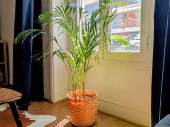 Vente Appartement 2 piècesNantes Île de Nantes