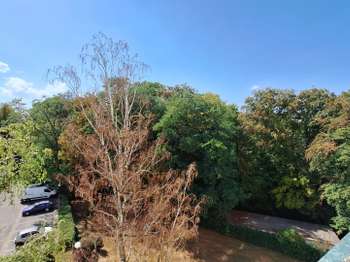 Vente appartement 3 pièces Nantes Pont Du Cens - Petit Port 44