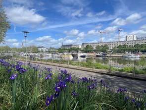 Vente Appartement 4 piècesNantes Saint-Felix