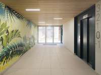 Vente Studio 1 pièce Vente Studio 1 pièce