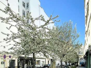 Vente appartement 1 pièce Paris 6e 75