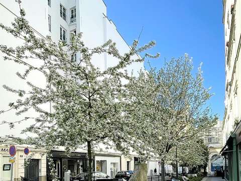 Vente appartement 1 pièce Paris 6e 75