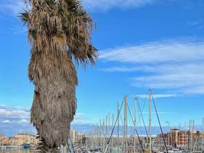 Vente Appartement 2 piècesPort-leucate