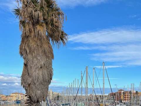 Vente appartement 2 pièces Port-leucate 11