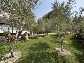 Vente Appartement 6 pièces +Porto-Vecchio