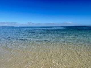 Vente Studio 1 pièce